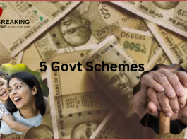 5 Govt Schemes : Rapid returns and tax benefits... these 5 government schemes are the best! Fun for kids to elders