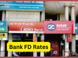 Bank FD Rates: If the account is opened in SBI-PNB-BoB, then the bank is giving money, this much amount will come in the account in just 6 months!