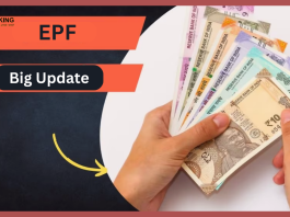 EPF Balance Check: Forgot UAN Number? Do not take tension, see PF balance like this