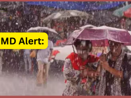 IMD Alert: Heavy rain in 15 states including UP-Bihar, strong wind-hail alert, read Meteorological Department's forecast