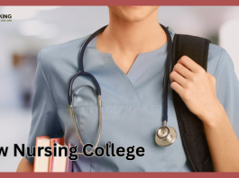 New Nursing Colleges: Good News! 157 new colleges will be opened for nursing students, Cabinet has given approval, maximum number of colleges in this state