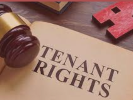 Property Ownership Rules : Does the property become the tenant's after 12 years? The landlord must do this work otherwise the property will go out of hand