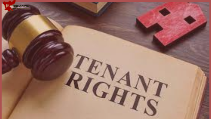 Property Ownership Rules : Does the property become the tenant's after 12 years? The landlord must do this work otherwise the property will go out of hand