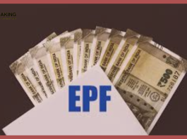 EPFO higher pension: Know how much you have to pay to get higher pension