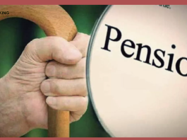 LIC Saral Pension Plan : Once the premium is paid, you will get pension for life, know what is LIC's Saral Pension Scheme