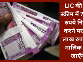 LIC Policy Plan : LIC की इस स्कीम में 7,572 रुपये निवेश करने पर 54 लाख रुपये के मालिक बन जाएँगे