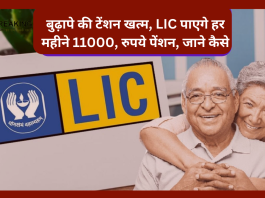 LIC Pension Plan : बुढ़ापे की टेंशन खत्म! बस एक बार निवेश करे, पाएगे हर महीने 11000, रुपये पेंशन, जाने स्कीम डिटेल्स