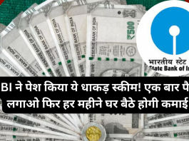 SBI ने पेश किया ये धाकड़ स्कीम! एक बार पैसा लगाओ फिर हर महीने घर बैठे होगी कमाई