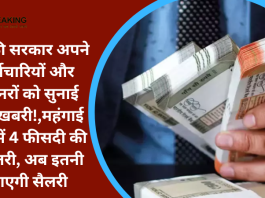 7th pay Commission : यह की सरकार अपने कर्मचारियों और पेंशनरों को सुनाई खुशखबरी!,महंगाई भत्ते में 4 फीसदी की बढ़ोतरी, अब इतनी आएगी सैलरी