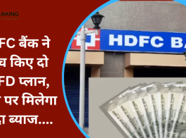 HDFC बैंक ने लॉन्च किए दो नए FD प्लान, निवेश पर मिलेगा ज्यादा ब्याज....यहाँ जाने पूरी डिटेल्स