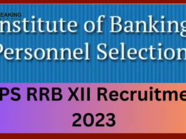 IBPS RRB Clerk PO Notification 2023 | IBPSने ​​क्लर्क PO परीक्षा 2023 ​के लिए नोटिफिकेशन किया जारी....आज से करें आवेदन