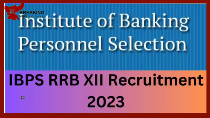 IBPS RRB Clerk PO Notification 2023 | IBPSने ​​क्लर्क PO परीक्षा 2023 ​के लिए नोटिफिकेशन किया जारी....आज से करें आवेदन