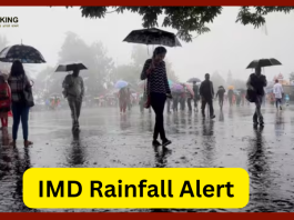 IMD Alert: Weather changed in these areas, Red Orange alert of heavy rain till August 16, know the condition of your states here