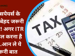 टैक्सपेयर्स के लिए बेहद जरूरी खबर! अगर ITR फाइल करना है तो...आन ले ये जरूरी बात