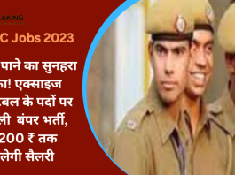 JSSC Jobs 2023 : नौकरी पाने का सुनहरा मौका! एक्साइज कॉन्स्टेबल के पदों पर निकली बंपर भर्ती, 63,200 ₹ तक मिलेगी सैलरी... तुरंत चेक करे पूरी डिटेल्स