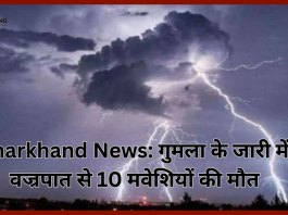 Jharkhand Breaking News : जारी प्रखंड की सीसीकरमटोली पंचायत स्थित बुमतेल गांव में वज्रपात से 10 मवेशियों की मौत हो गयी...!