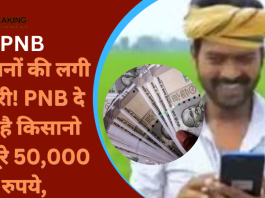 किसानों की लगी लॉटरी! PNB दे रहा है किसानो को पूरे 50,000 रुपये, बस करले ये छोटा सा काम......