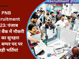 Bank Recruitment 2023 : नौकरी पाने का सुनहरा मौका, पंजाब नेशनल बैंक में बम्पर पद पर हो रही भर्तियां...चेक करे पूरी डिटेल्स