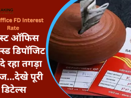 Post Office FD Interest Rate : पोस्ट ऑफिस फिक्स्ड डिपॉजिट पर दे रहा तगड़ा ब्याज...देखे पूरी डिटेल्स