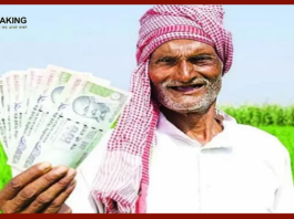PM Kisan 17th installment: If you need installment money then be alert, these 5 mistakes will spoil the work