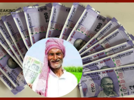 PM Kisan 18th Installment: The 18th installment is coming, whether you will get the money or not, find out in minutes