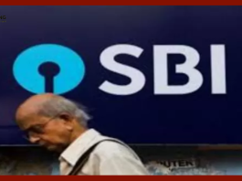 SBI दे रहा है वरिष्ठ नागरिकों को बंपर रिटर्न, इन 3 स्कीम का उठाएं फायदा