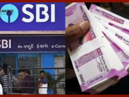 SBI Special Scheme : SBI की इस स्कीम में निवेश पर मिलेगा 15 लाख रुपये का फायदा, जानें स्कीम की डिटेल्स