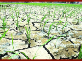 Jharkhand Weather Update : Big News! 46% less rainfall in Jharkhand so far, if it does not rain for 15 days, there will be drought