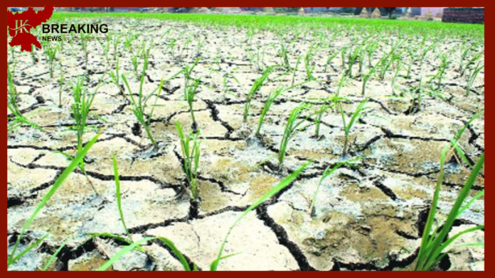 Jharkhand Weather Update : Big News! 46% less rainfall in Jharkhand so far, if it does not rain for 15 days, there will be drought