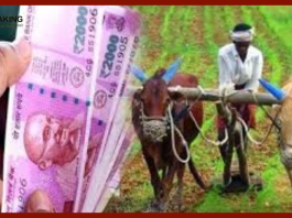 PM Kisan Yojana: 15th installment money will come to farmers' accounts on this day