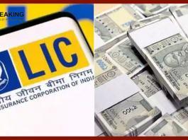 LIC Aadhaar Shila Plan: In this policy of LIC, women can get a return of 11 lakhs! Know the details related to the scheme