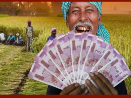 PM Kisan Samman Nidhi: Great news for more than 8.5 crore farmers, the installment may increase by this much