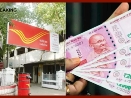 Post Office Scheme : Make crores of funds by investing in Post Office's PPF scheme! Know the special trick of investment