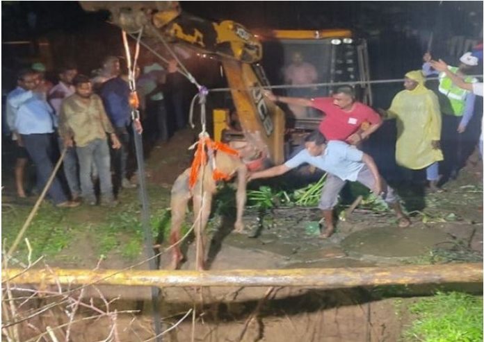 Jharkhand Latest News! Six killed, three injured while trying to save a bull that fell into a well, CM Soren expressed grief