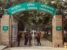 Jharkhand News: Fine of Rs 10,000 each imposed on 4 DMs in Jharkhand, NGT order