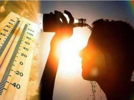 Jharkhand Weather: Yellow heat wave alert in 14 districts, know details here