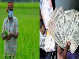 PM Kisan 17th Installment: Installment of two thousand rupees released to farmers, if you do not get it then complain here