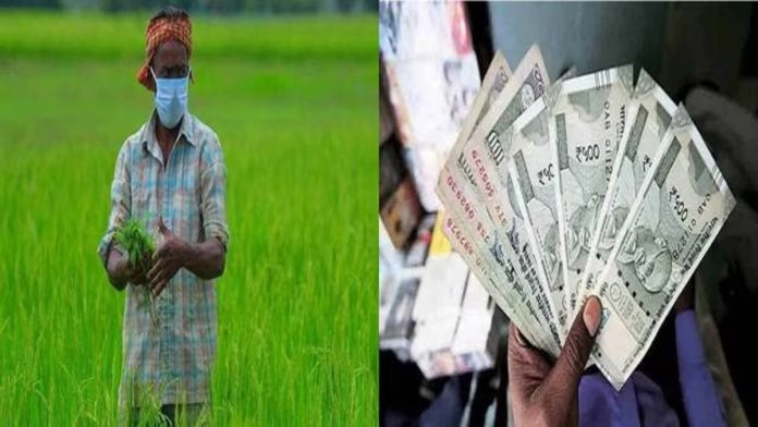 PM Kisan 17th Installment: Installment of two thousand rupees released to farmers, if you do not get it then complain here