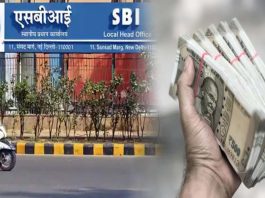 SBI Amrit Vrishti : This is the guaranteed return scheme of the government bank, you will get good interest in 444 days!