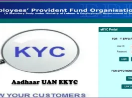 EPFO UAN KYC : Submit only three documents, your name will be corrected in EPFO ​​UAN immediately