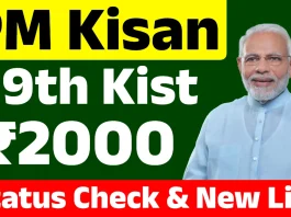 PM Kisan Yojana : When will you get the 19th installment, how to check your name in the beneficiary list; know full details